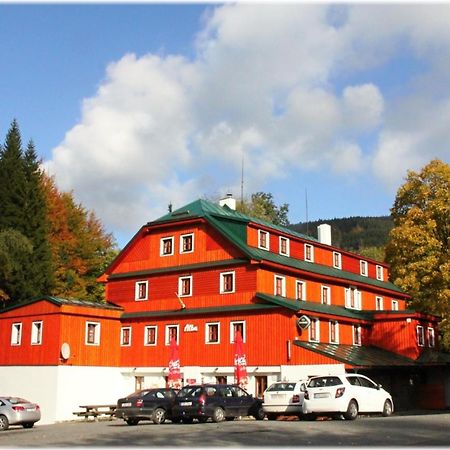 Hotel Alba Destne v Orlickych horach Dış mekan fotoğraf