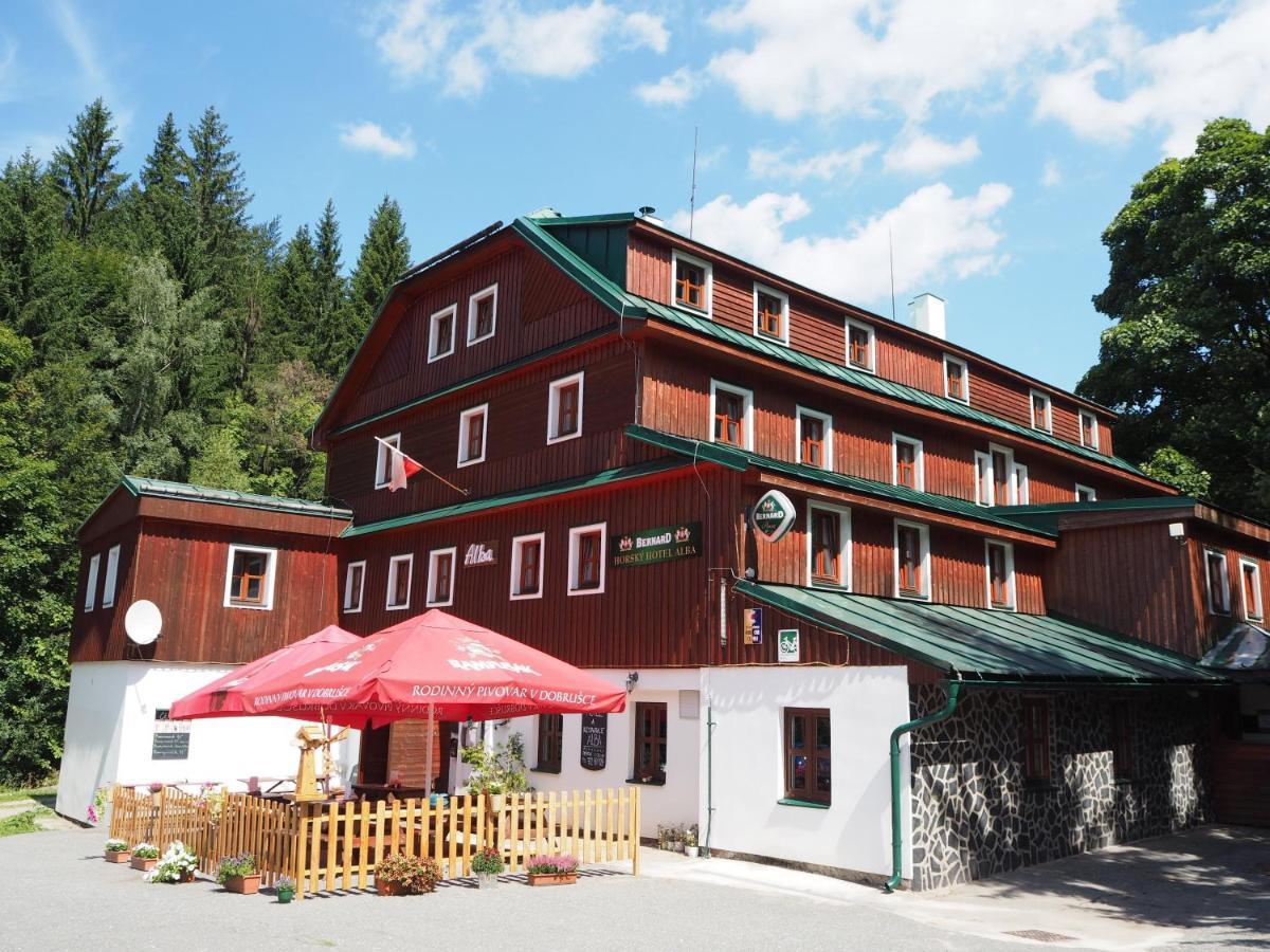 Hotel Alba Destne v Orlickych horach Dış mekan fotoğraf
