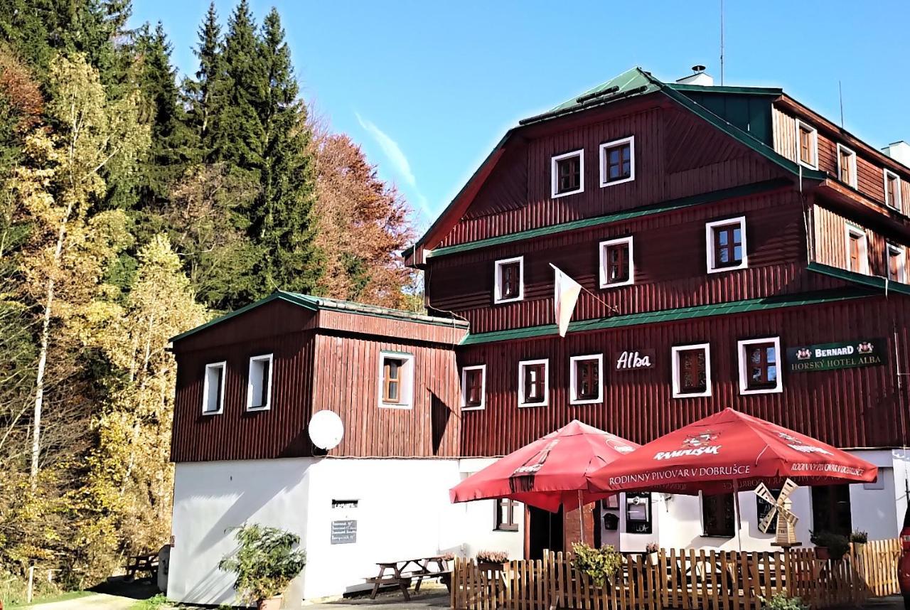 Hotel Alba Destne v Orlickych horach Dış mekan fotoğraf