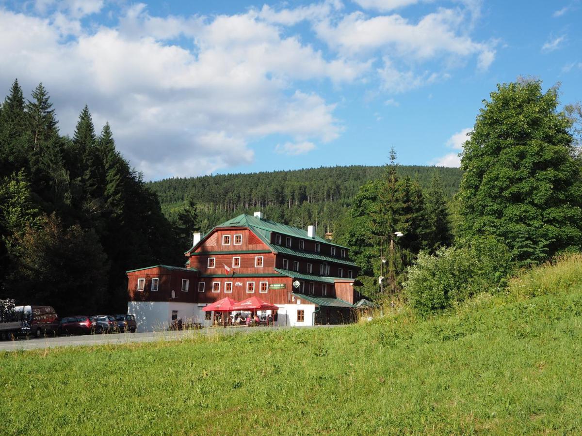 Hotel Alba Destne v Orlickych horach Dış mekan fotoğraf