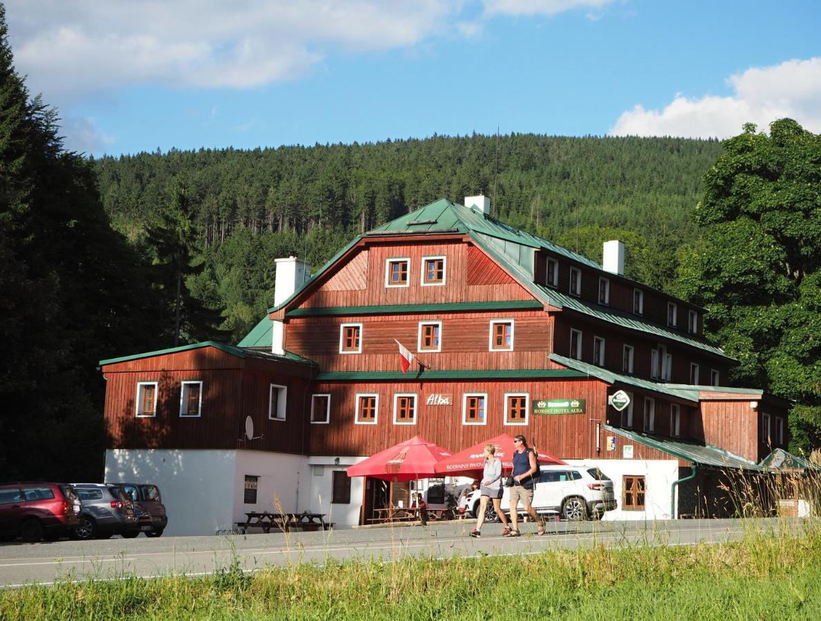 Hotel Alba Destne v Orlickych horach Dış mekan fotoğraf