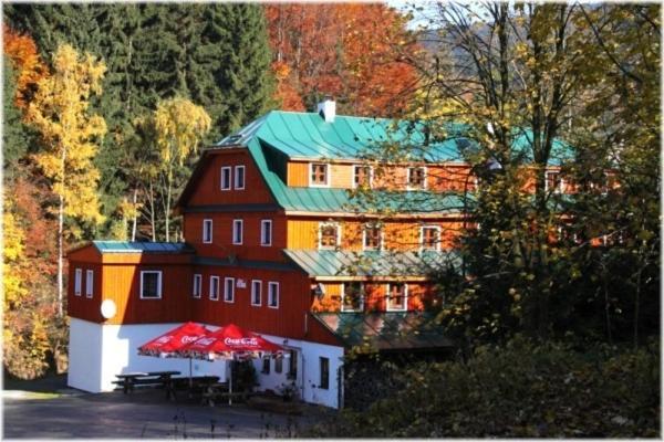 Hotel Alba Destne v Orlickych horach Dış mekan fotoğraf