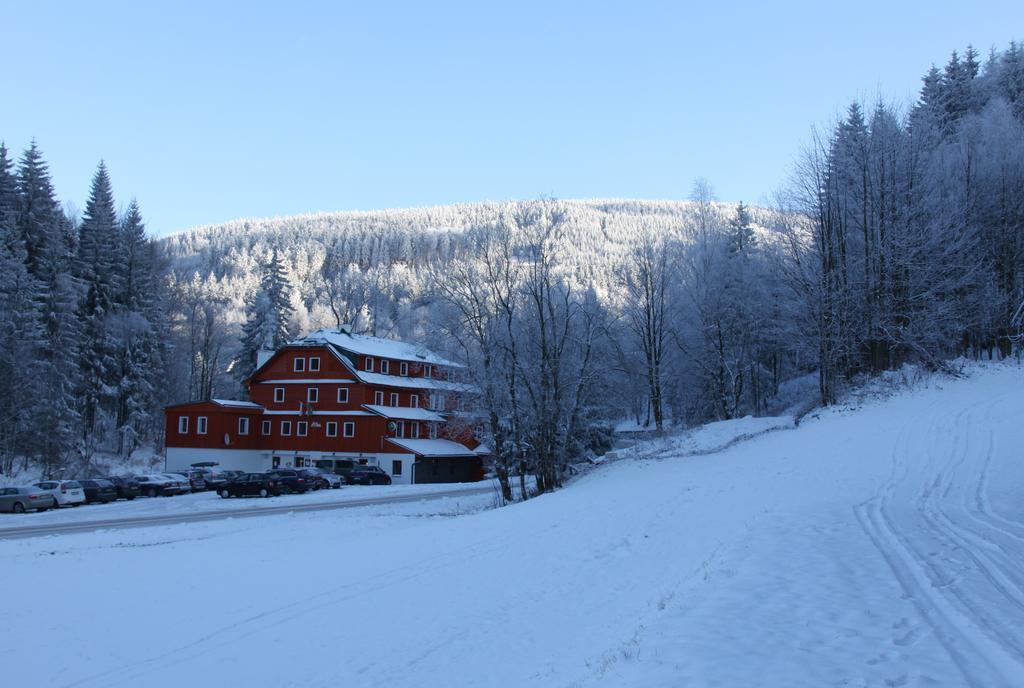 Hotel Alba Destne v Orlickych horach Dış mekan fotoğraf