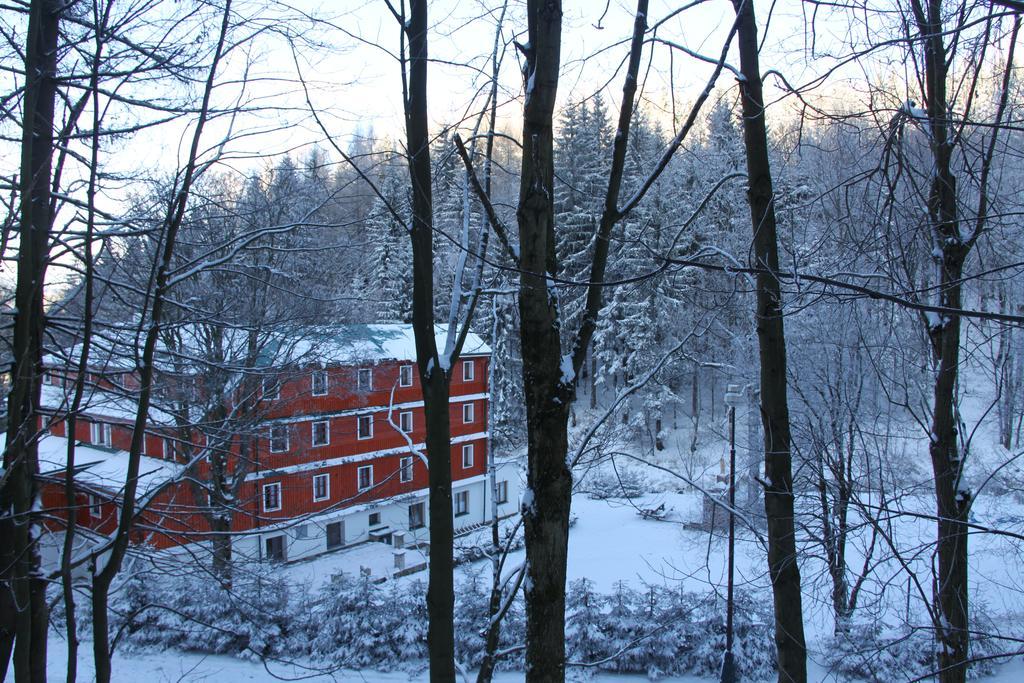 Hotel Alba Destne v Orlickych horach Dış mekan fotoğraf